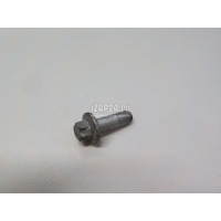 Болт BMW 5-serie E39 (1995 - 2003) 33321093661