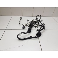 Электропроводка передней правой двери Chery Arrizo 8 2022- 806003485AA