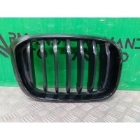 решетка радиатора BMW X3 G01 2017-2021 51138469960