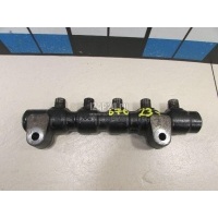 Рейка топливная (рампа) Ford Fusion (2002 - 2012) 1747239