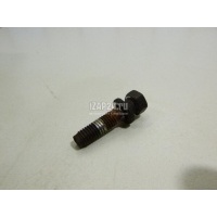 Болт Nissan Pathfinder (R51) (2005 - 2014) 489354P00A