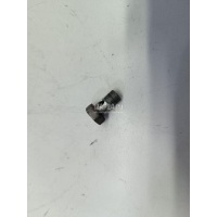 Болт полый Volvo TRUCK FL6 (1985 - 1998) 968177