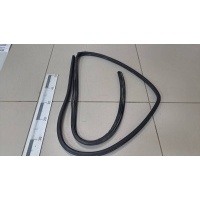 Уплотнитель проема двери передней правой Chevrolet Chevrolet Captiva (C100) 2006-2011 96624228
