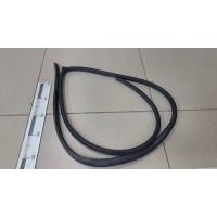 Уплотнитель проема двери передней правой Chevrolet Chevrolet Captiva (C100) 2006-2011 96624228