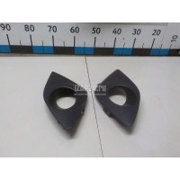 Рамка для противотуманных фар Renault Scenic III (2009 - 2015) 620725604R