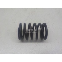 Пружина клапана VAG Alhambra (2000 - 2010) 078109623C