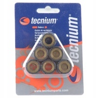 tecnium vicma ролики вариатора 19x13 , 5 10g 6szt.