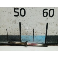 Шпилька впускного коллектора Renault Trafic (2001 - 2014) 8200584570