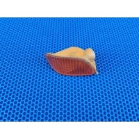 указатель поворота FORD FOCUS I 1998-2004 FORD FOCUS I 1998-2004 1999 1215917,