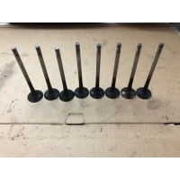 Клапан выпускной Audi A3 8P1 2009 06D109611L
