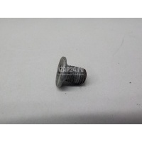 Болт крепления диска Benz SL 2001 - 2012 2204210171