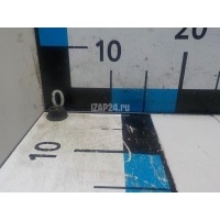Гайка Nissan Pathfinder (R51) (2005 - 2014) 01223S203E