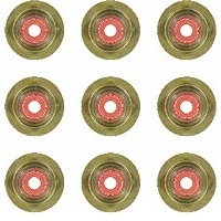 Комплект uszczelniaczy trzonka reinz 12 - 34264 - 01