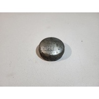 Крышка ступицы Citroen-Peugeot Boxer 250 2006 374047