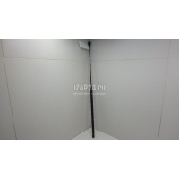 Амортизатор капота VAG A3 [8V] (2013 - 2020) 8V0823359