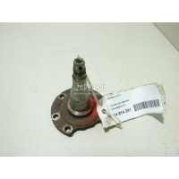 Цапфа (п.з.к.) VAG A6 [C4] (1994 - 1997) 8D0501117C