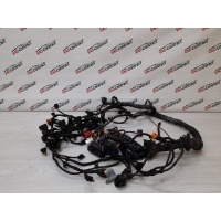 Проводка ДВС Audi Q5 2009 06H971824B, 8K1971072FM