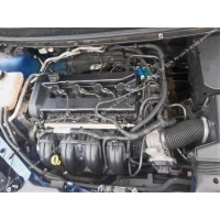 двигатель Ford Focus 2 (2005-2011) 1525799