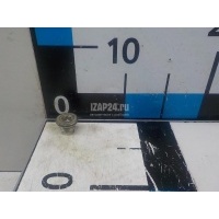 Пробка маслосливная дифференциала Nissan Murano (Z50) (2004 - 2008) 321034N21A