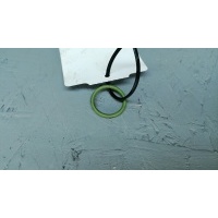 Уплотнительное кольцо змеевика APS (ø15,6x1,85x19,3) SCANIA 1753782 1753782