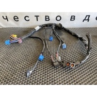 проводка двери левой Scania 6 2495452,2499823,2584756,2584758,2584752,3155104,3094354,2812959,2495436