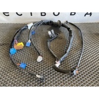 проводка двери левой Scania 6 2495452,2499823,2584756,2584758,2584752,3094354,2812959,2495436,3007553