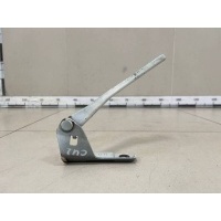Петля капота правая Honda Honda Accord 8 (CU) 2008-2013 60120TL0G00ZZ