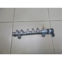 Рейка топливная (рампа) Nissan Pathfinder (R51) (2005 - 2014) 1752000Q2L