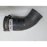 Патрубок интеркулера Opel Signum 2006 55352736