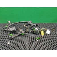 Проводка двери передней левой Audi A6 C6 (S6,RS6) 2005 4F1 971 029 A
