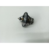 Термостат Hyundai-Kia Navara (D40) (2005 - 2015) 2550035540