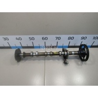 Распредвал впускной Ford Escape (2001 - 2006) 4826762