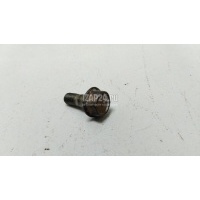 Болт суппорта Nissan X-Trail (T31) (2007 - 2014) 411360W700