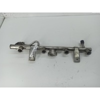 Рампа (рейка) топливная Mercedes W203 (C) 2003 225103
