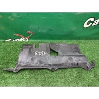 Пластик багажника Smart Fortwo W451 2012 A4516880155