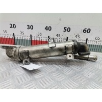 Радиатор системы ЕГР Volkswagen Passat 5 GP (2000-2005) 2003 ,038131513H