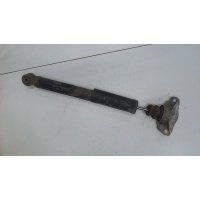 Амортизатор подвески зад. Skoda Octavia (A5) 2008-2013 2009 1K0513029EN