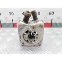 Теплообменник Audi A4 B5 (1994-2001) 1998 078117021A,078117021A