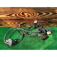 Проводка двери передней левой Audi A6 C6 (S6,RS6) 2005 4F1971029A