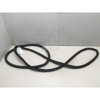 Уплотнитель двери Ford Kuga (2012 - 2019) 5214377