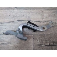Петля крышки багажника BMW X3 G01 2021 41007494944, 7397316