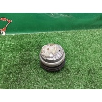 Подушка двигателя Mercedes-Benz S W220 2001 A2202400617