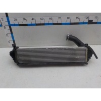 Интеркулер (радиатор турбины) EXEED RX 2023- 302000800AA