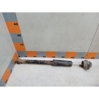 Амортизатор задний Volkswagen Bora 1J2 2002 1J0513025DJ