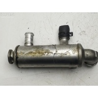 Охладитель отработанных газов Citroen Xsara Picasso 2006 79989