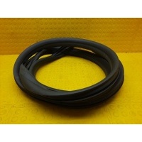 Уплотнитель двери Renault Kaptur 2021 769238950R