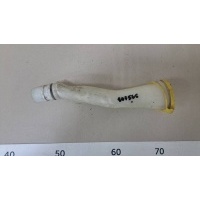 Горловина бачка омывателя Nissan Nissan Maxima (A33) 2000-2008 2891543U00
