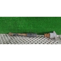 Амортизатор задний Volkswagen Passat B5 2004 3B9 513 031