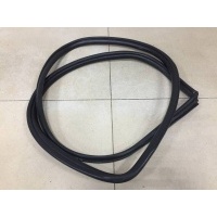 Уплотнитель проема двери задней правой Toyota Toyota Corolla E180 2013> 6233102280