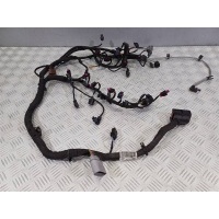Проводка двигателя Skoda Kodiaq 2022 05E972627